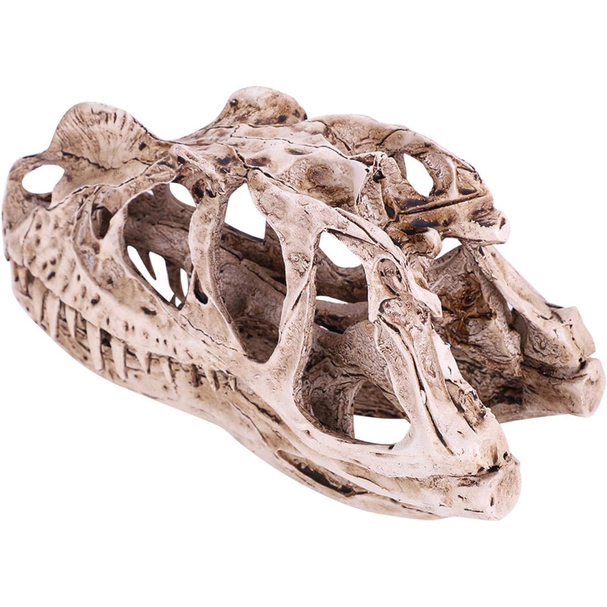 Fdit Resin Dinosaur Skull Model Teaching Skeleton Model Simulated Animal Skeleton Home Office Aquarium Decoration