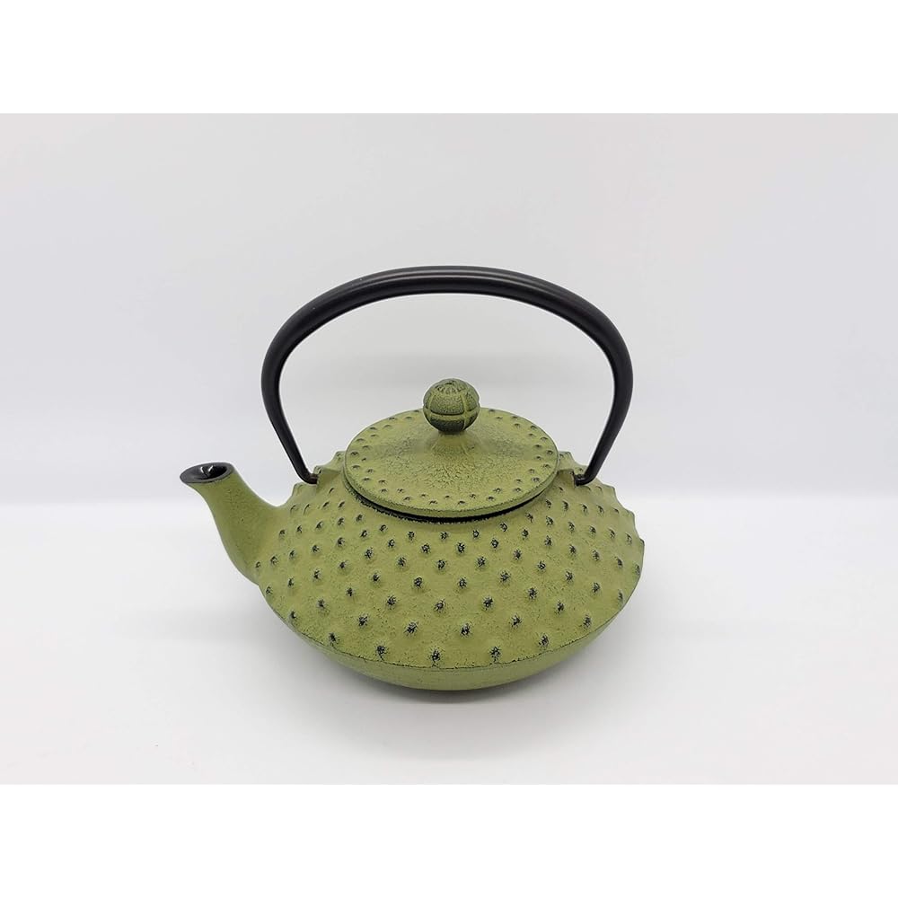 Iwachu Teapot 3 Type Flat Arale Wakakusa 0.35L Enamel Inside Nambu Ironware 12641