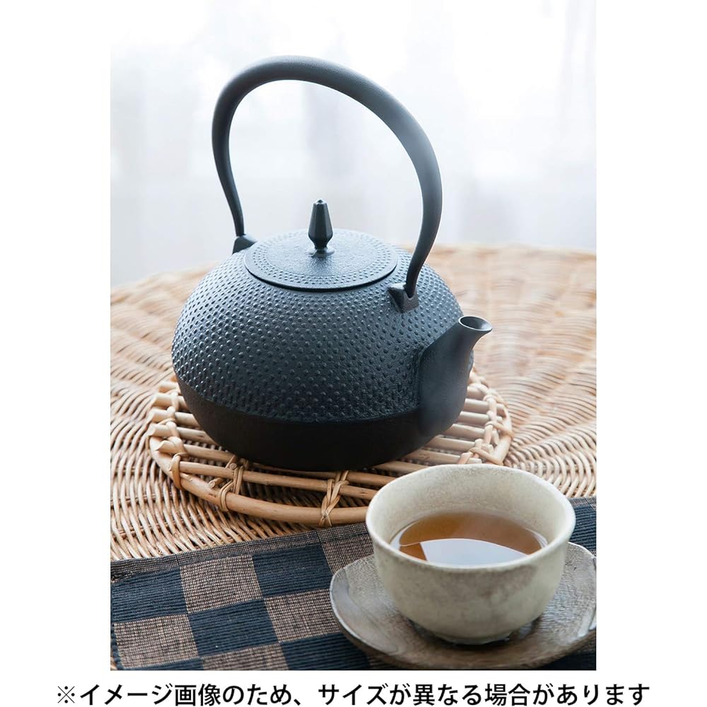 Ikenaga Tekko Nambu Ironware Iron Kettle Made in Japan Kettle 0.6L Tea Container Iron Replenishment Hoju