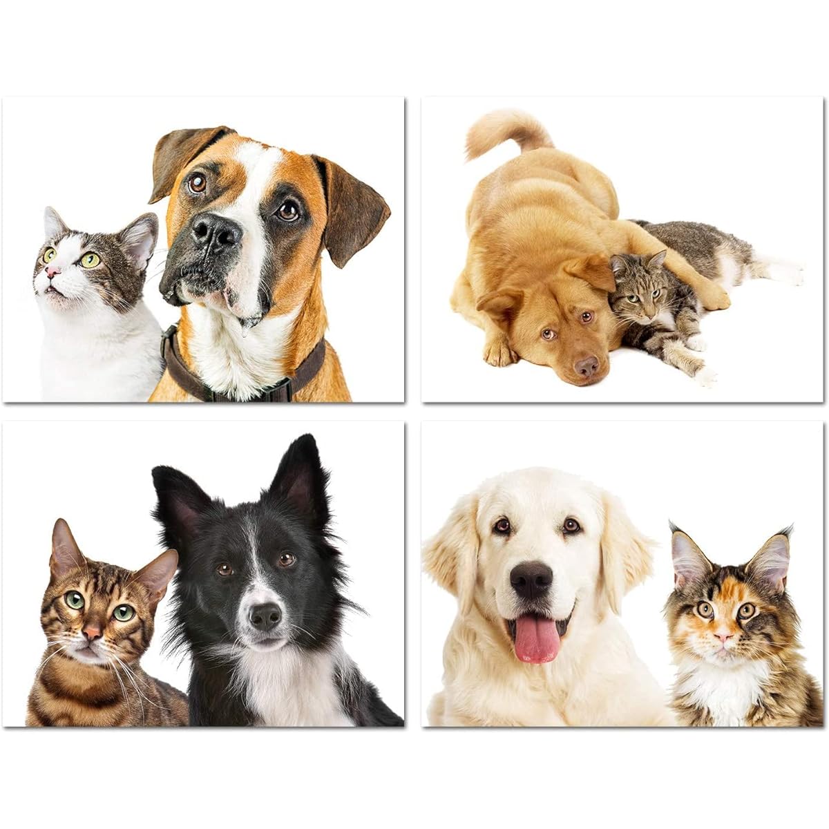 Small World Greetings Furry Friends Dog and Cat Greeting Cards - Blank Inside with White Envelopes - 4 Unique Designs - A2 Size (5.5"x4.25") - Pack of 24