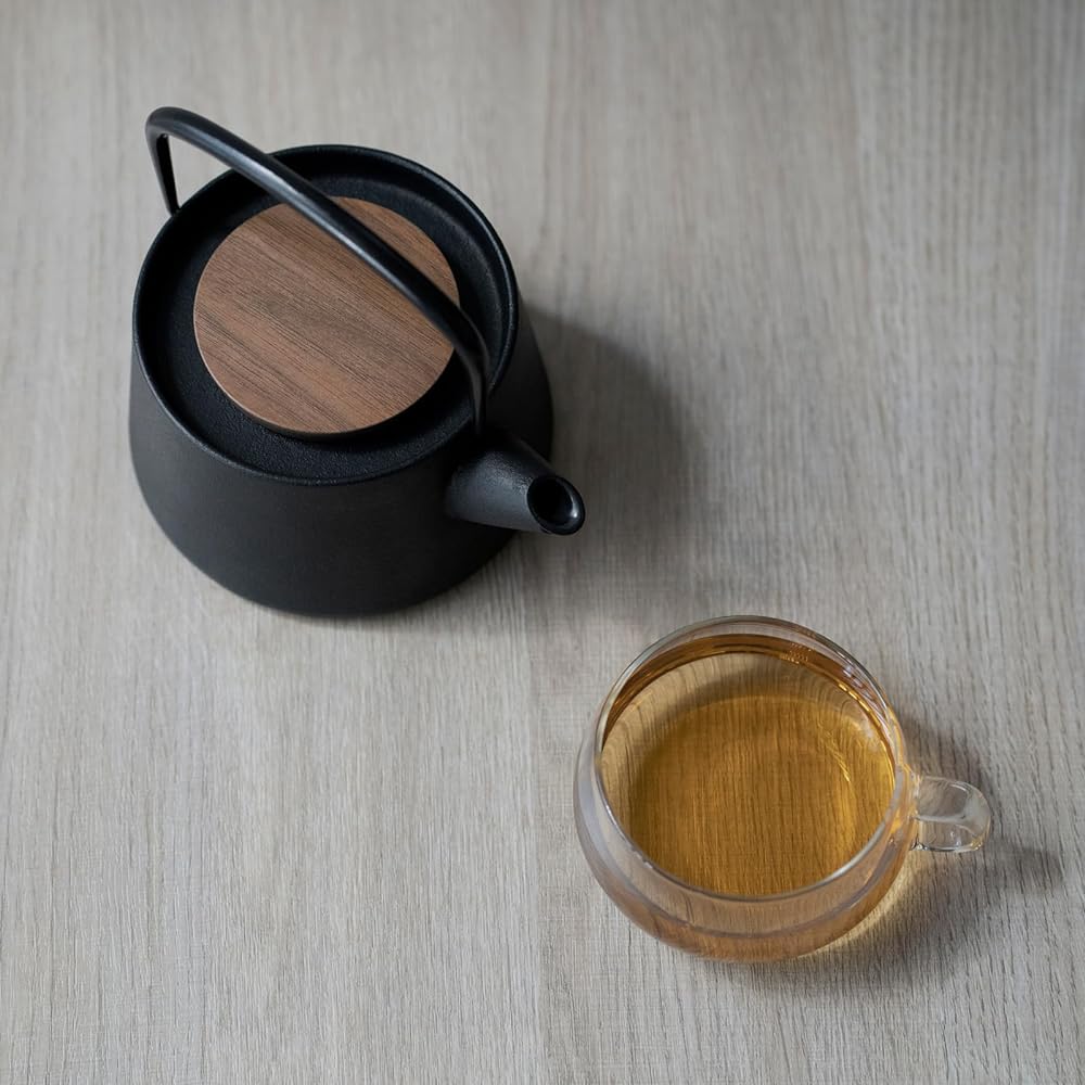 Ikenaga Tekko NEW tetu Nanbu Ironware Teapot Made in Japan Tea Ceramic 0.56L Iron Replenishment