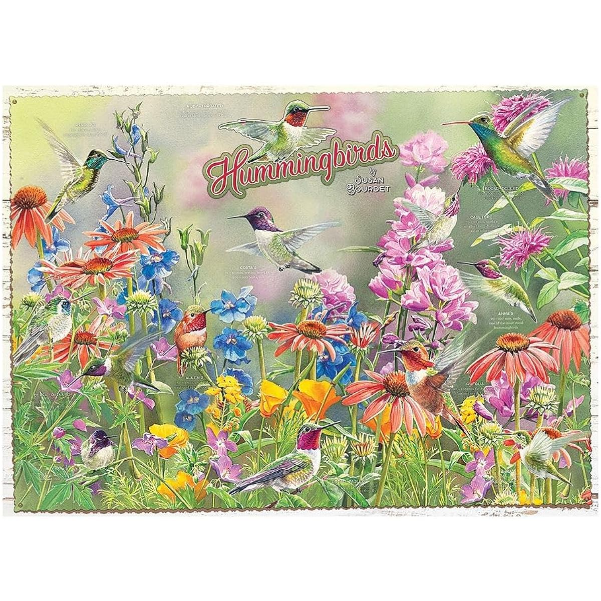 Cobble Hill 1000 Piece Puzzle Hummingbird (with Poster)