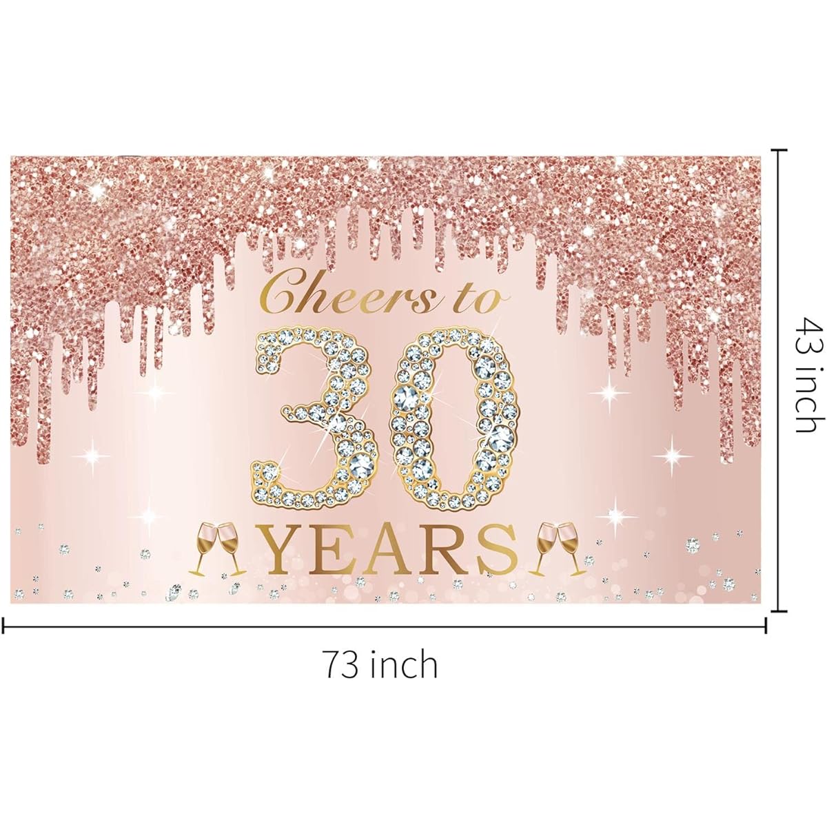 30th Birthday Decorations Cheers to 30 Banner Pink Rose Gold Happy Birthday Backdrop Sign Party Supplies for Women 30th Birthday Poster Background Photo Booth Props Decor