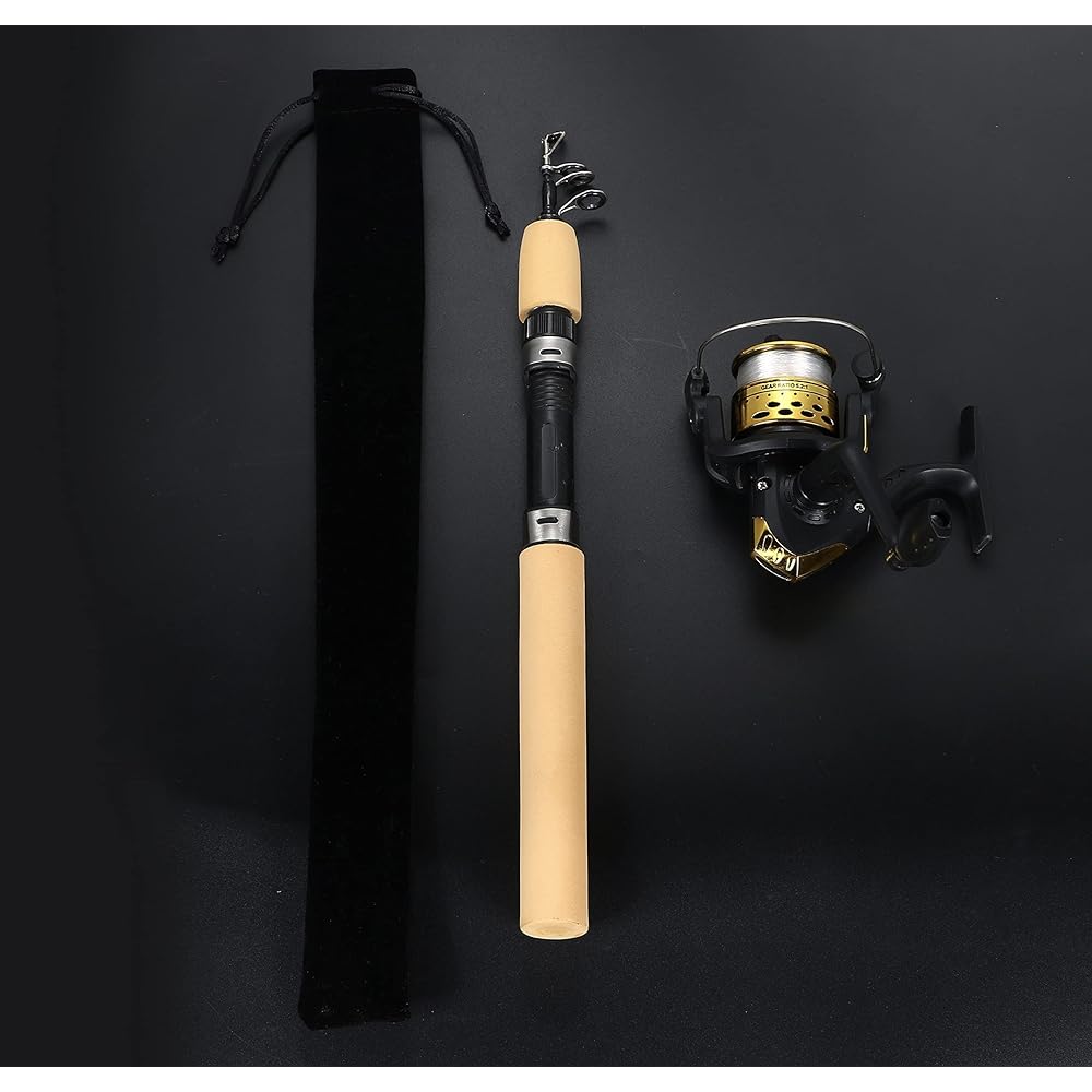 VILTAGE Fishing Rod Set [Compact Rod Spinning Reel] Rod Total Length 100cm with Line (Gold) Rod Case Included