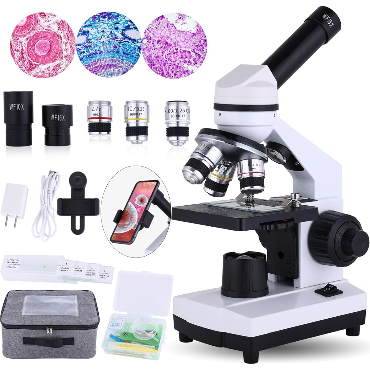 Herwicm Microscope for Adults 40-2000X Compound Microscope with Dual LED Lighting for School Home Laboratory Educational Gift for Children Students Beginner Microscope