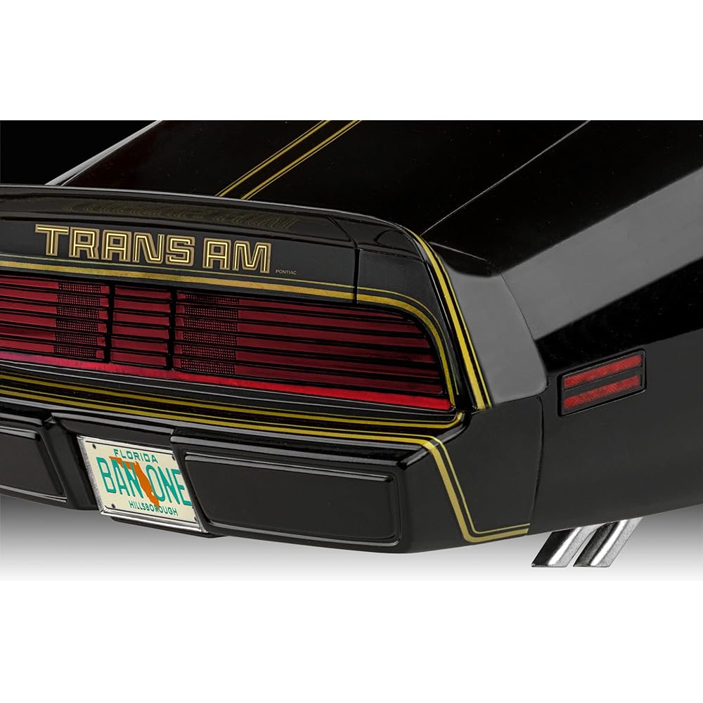 German Revell (Revell) 1/8 79 Pontiac Firebird Trans Am Plastic Model 07710 Molding Color