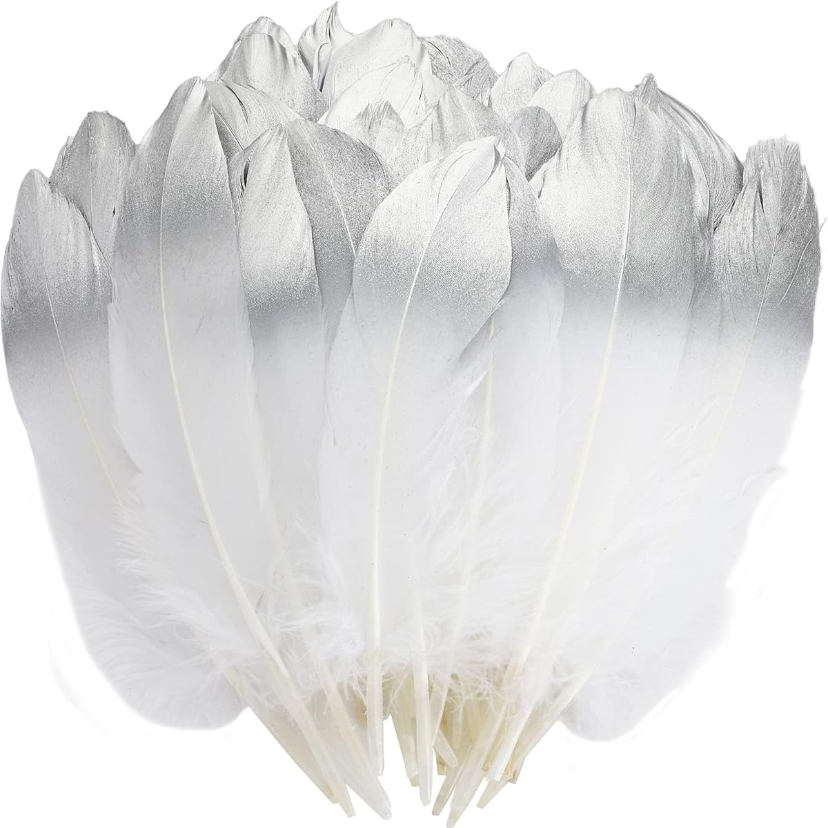 HaiMay 80 Pieces White Feathers for Craft Wedding Home Party Decorations, 6-8 Inch White and Silver Craft Feathers