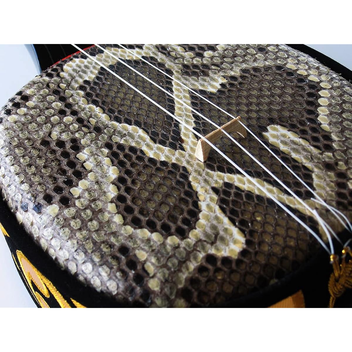 Churasaki Okinawa Takumi Sanshin [Genuine leather] Double lined genuine snake *Comes with DVD instruction and ceramic nails