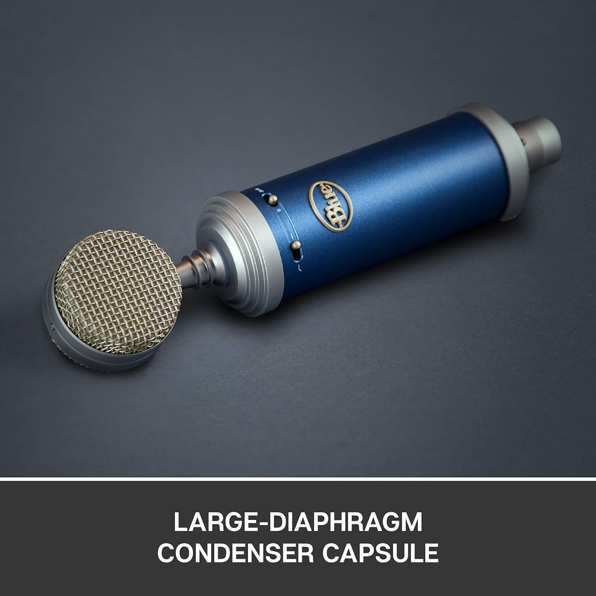 Blue Microphones Bluebird SL Large Diaphragm Condenser Microphone