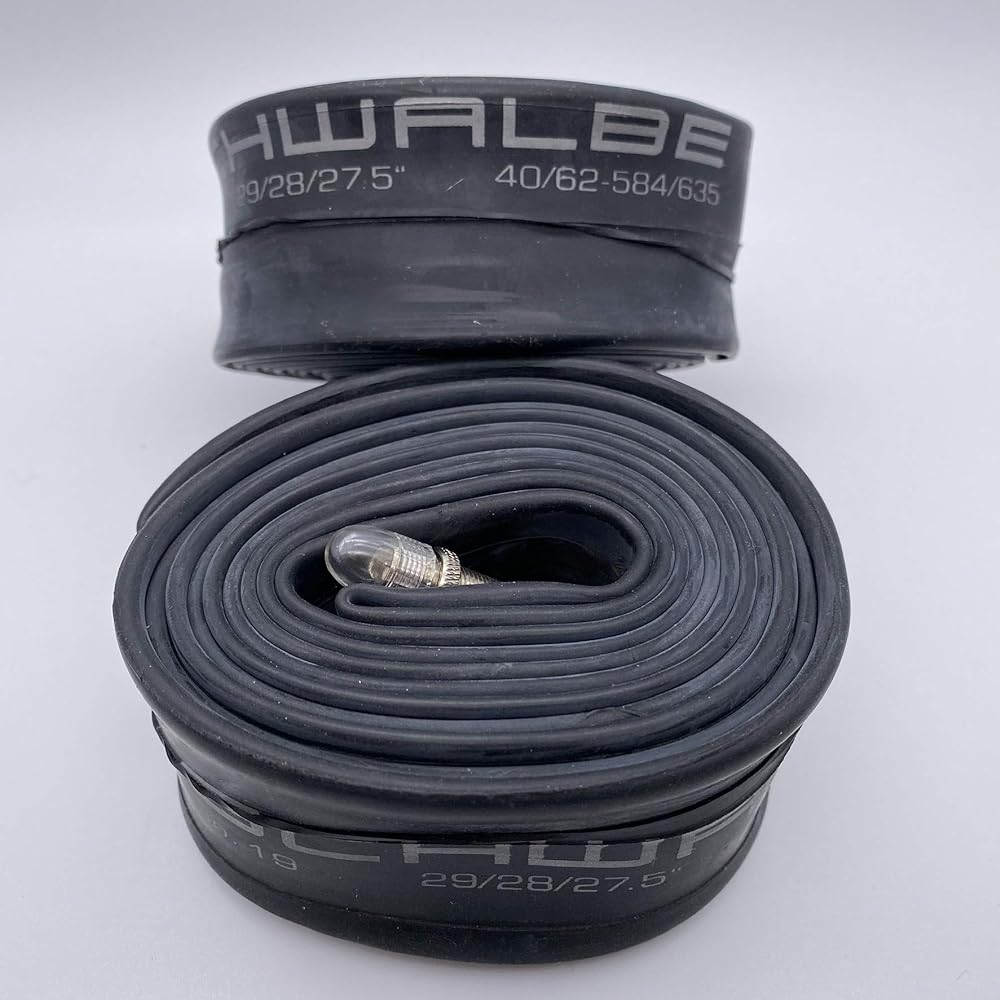 Set of 2 SCHWALBE 29 x 1.50/2.40 tube American style 19AV valve length 40mm [Simple package version] [Parallel import goods]