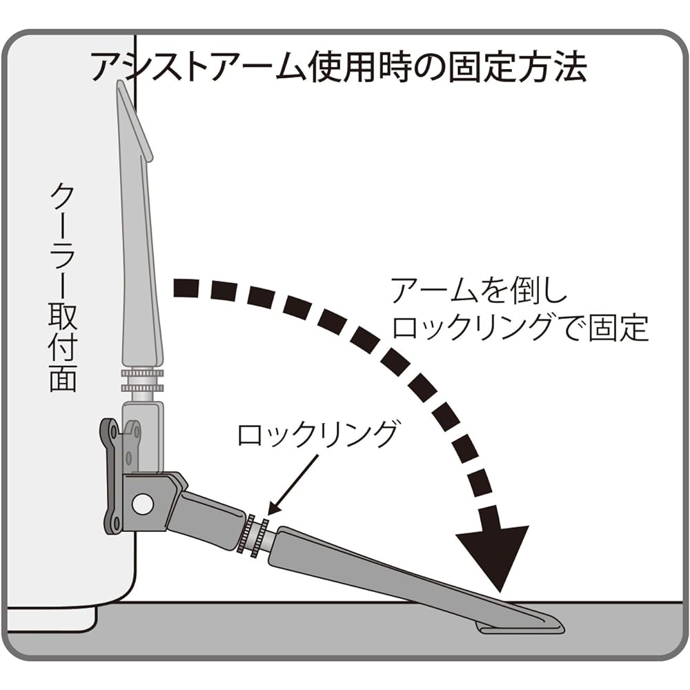 Daiichi Seiko Assist Arm