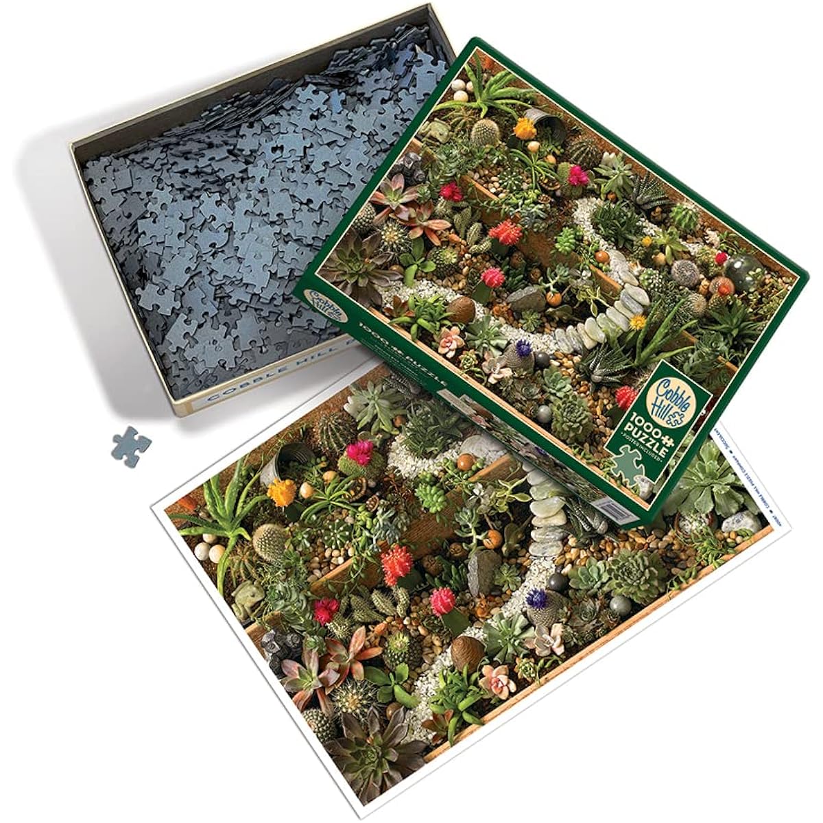 Cobble Hill 1000 Piece Puzzle Succulent Garden with Sample Poster