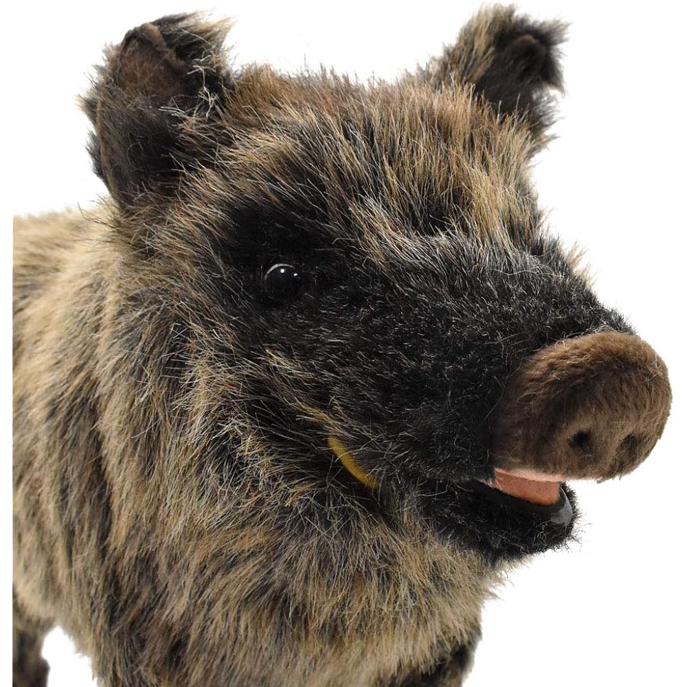 Canal BH4092 HANSA Boar 52