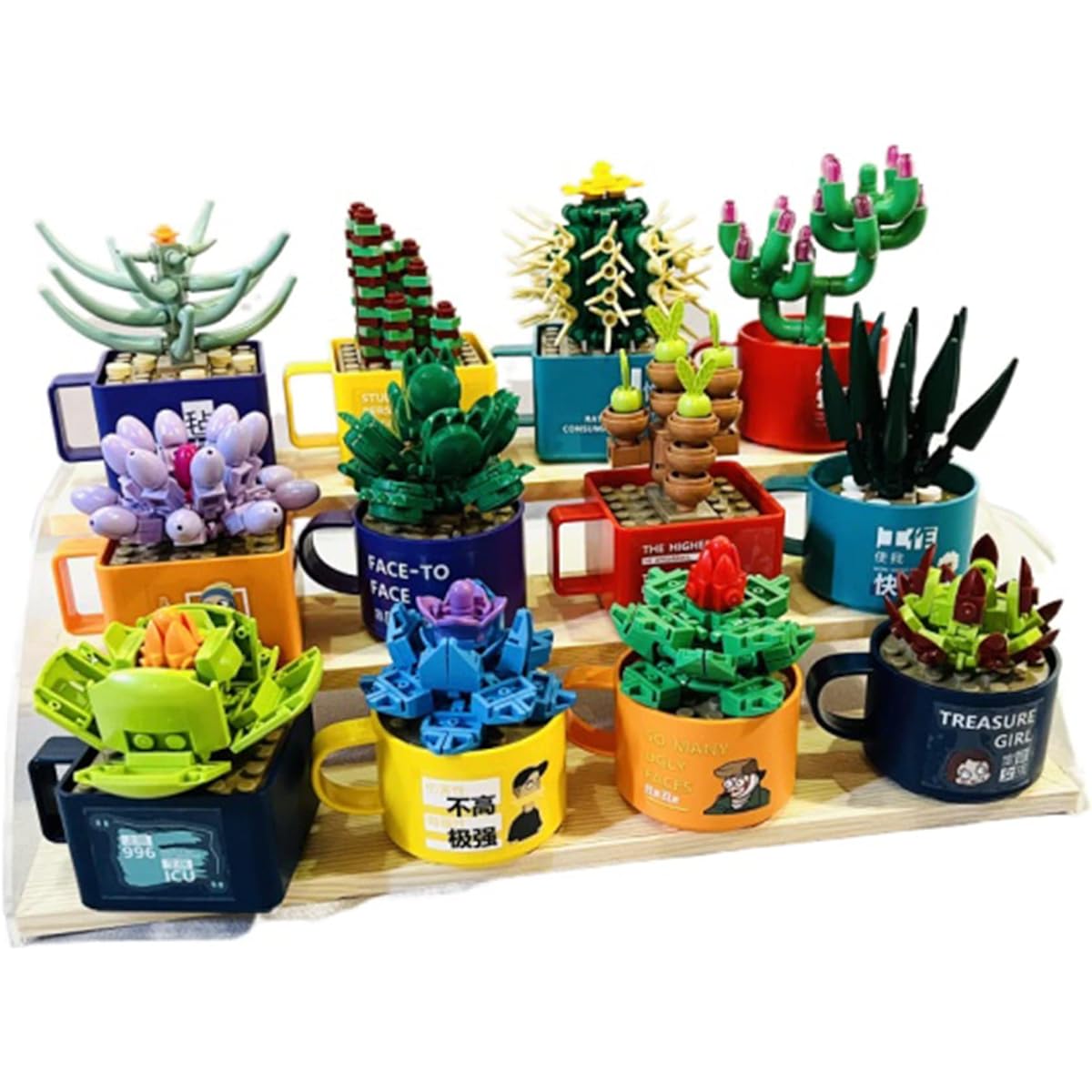 Succulent building blocks