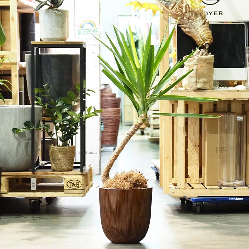 Foyer FR Nordic pot cedar brown M φ37xH37.5 3a00128BR