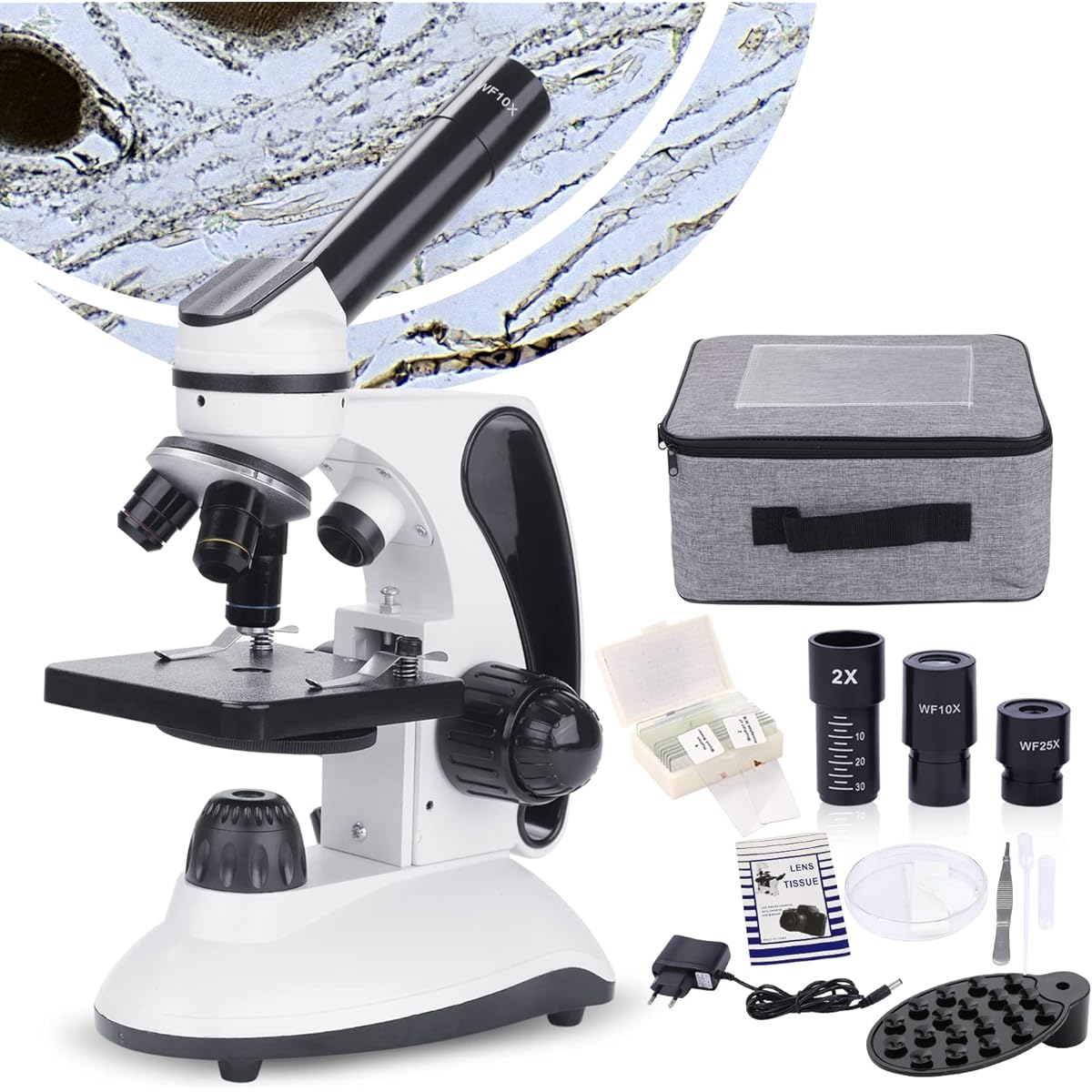 fication for Elementary School Children School Learning Smartphone Photography High Magnification Japanese Instruction Manual Included Biology Education Summer Vacation Science Kit with Microscope Portable Case AC Adapter 15 Slides for Lab Class Research
