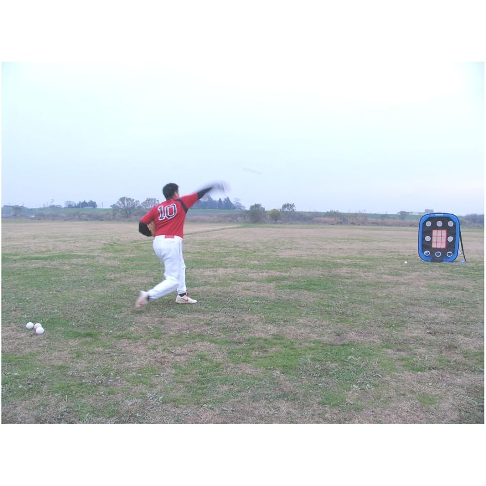 SAKURAI Promark Baseball Batting Net Pitch Trainer PN-300