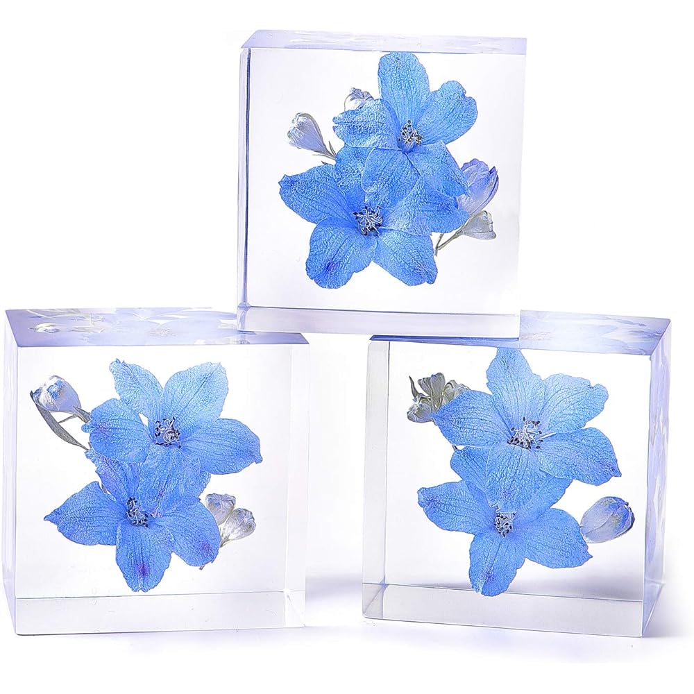 [Felinas] Herbarium Crystal Blue Flower of Happiness White Day Return Present Delphinium