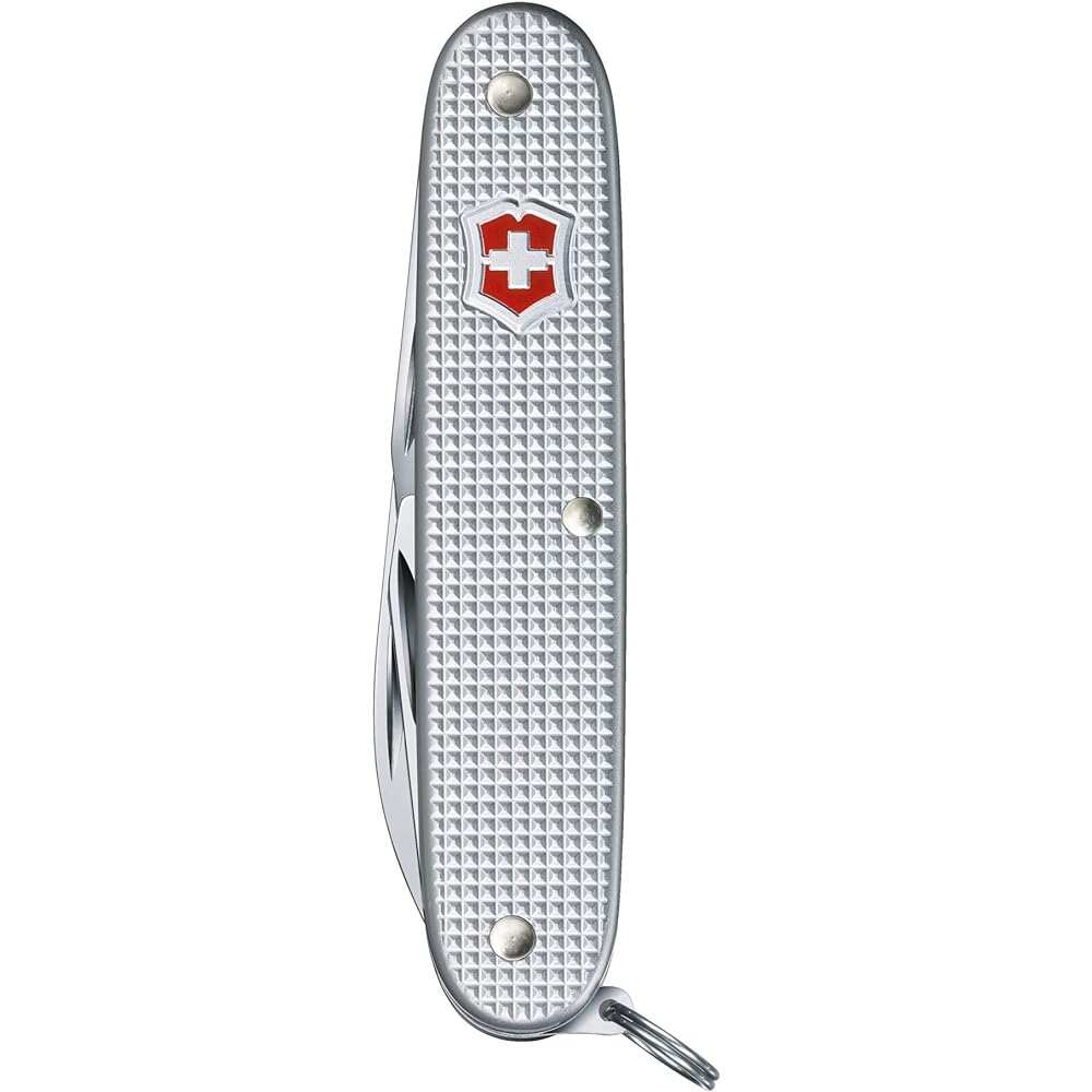 VICTORINOX Soldier CVAL 63251