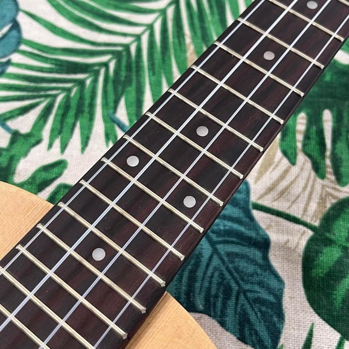 music ukulele Rose Electric Concert Ukulele Beginner's Set