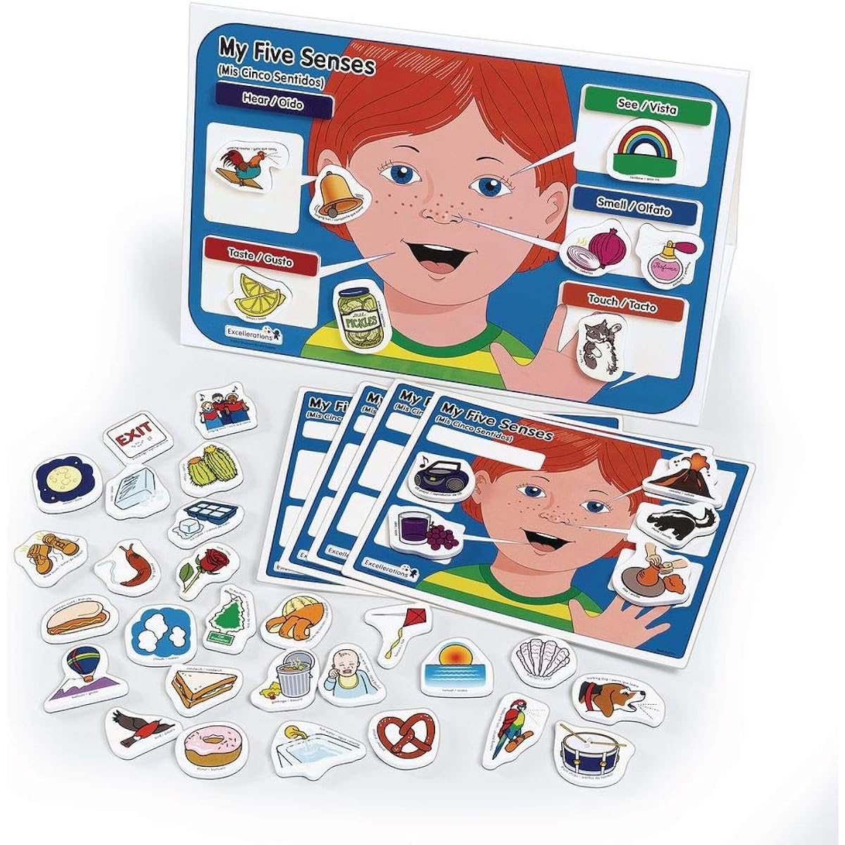 Excellerations SENSEMAG My 5 Senses Magnetic Activity Set (Pack of 55)