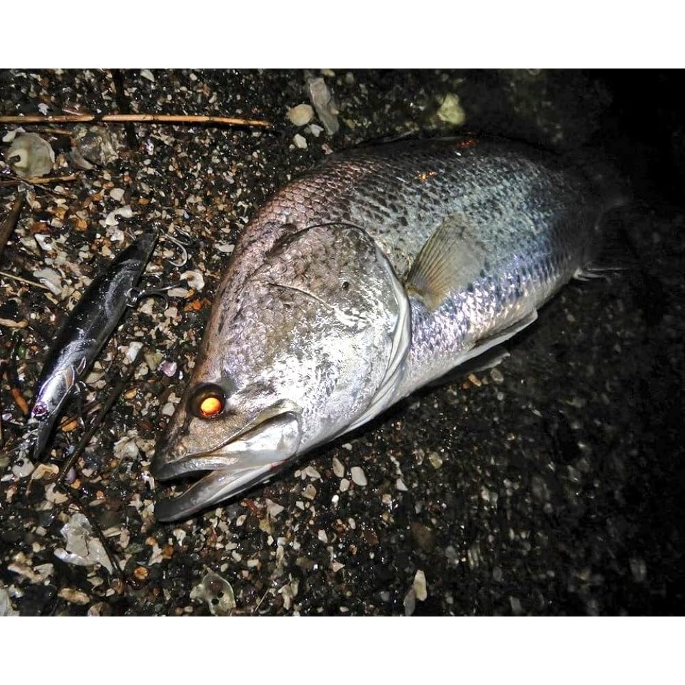 Pazdesig lure reed ELCALIBER 150SF