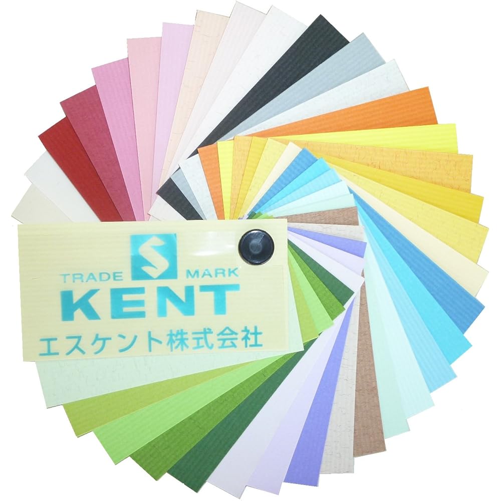 Eskent Colored Drawing Paper Muse Cotton Thick Eight Cut Hydrangea 100 Sheets 41080026