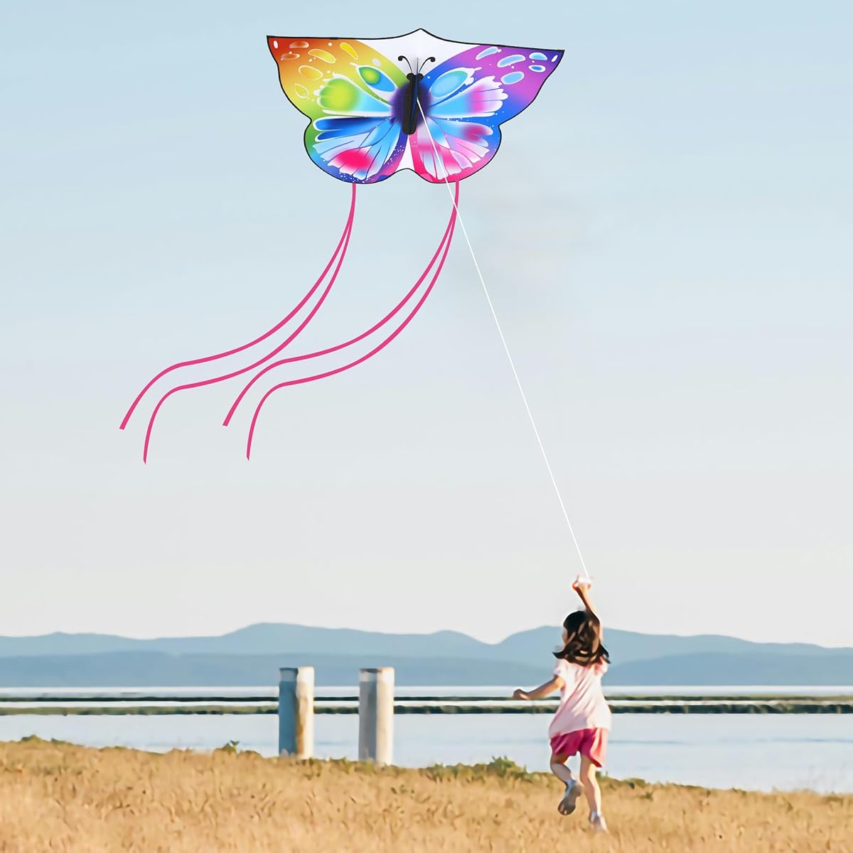 Colorful Butterfly Kite Single
