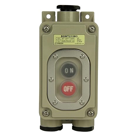 Kasuga Electric rainproof power snap switch BSWT215B3