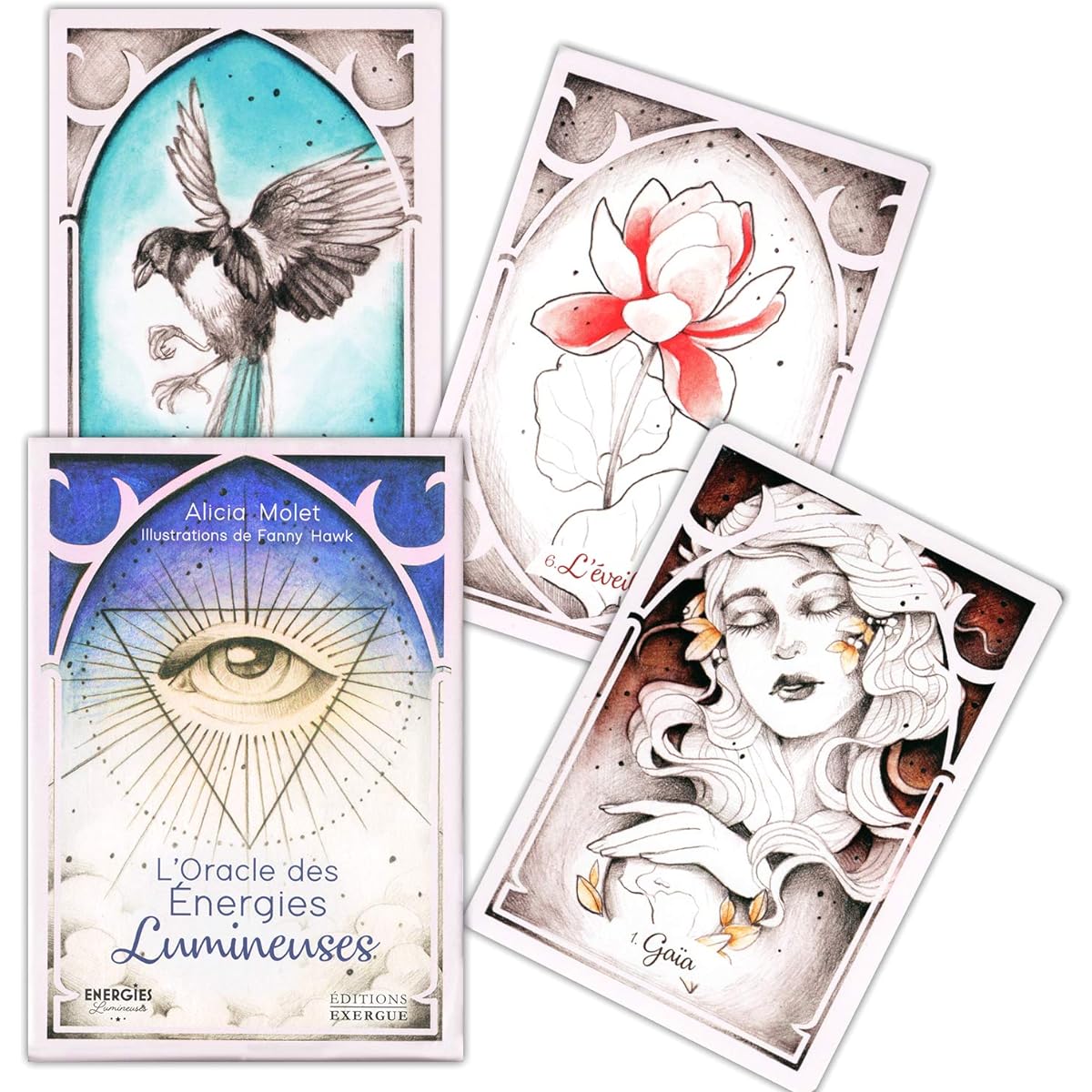 [Genuine] Light Energy Oracle Cards [Oracle Card Meanings in Japanese] Tarot Fortune Telling