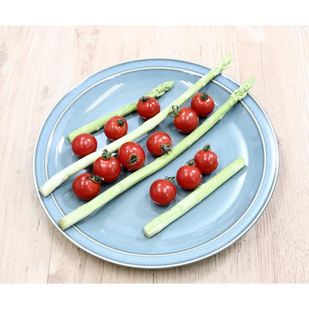 Minton New [Commercial Set] Castle Enterprise Instagrammable Plate Series 26cm Dinner Plate (Aurora Blue) Set of 10