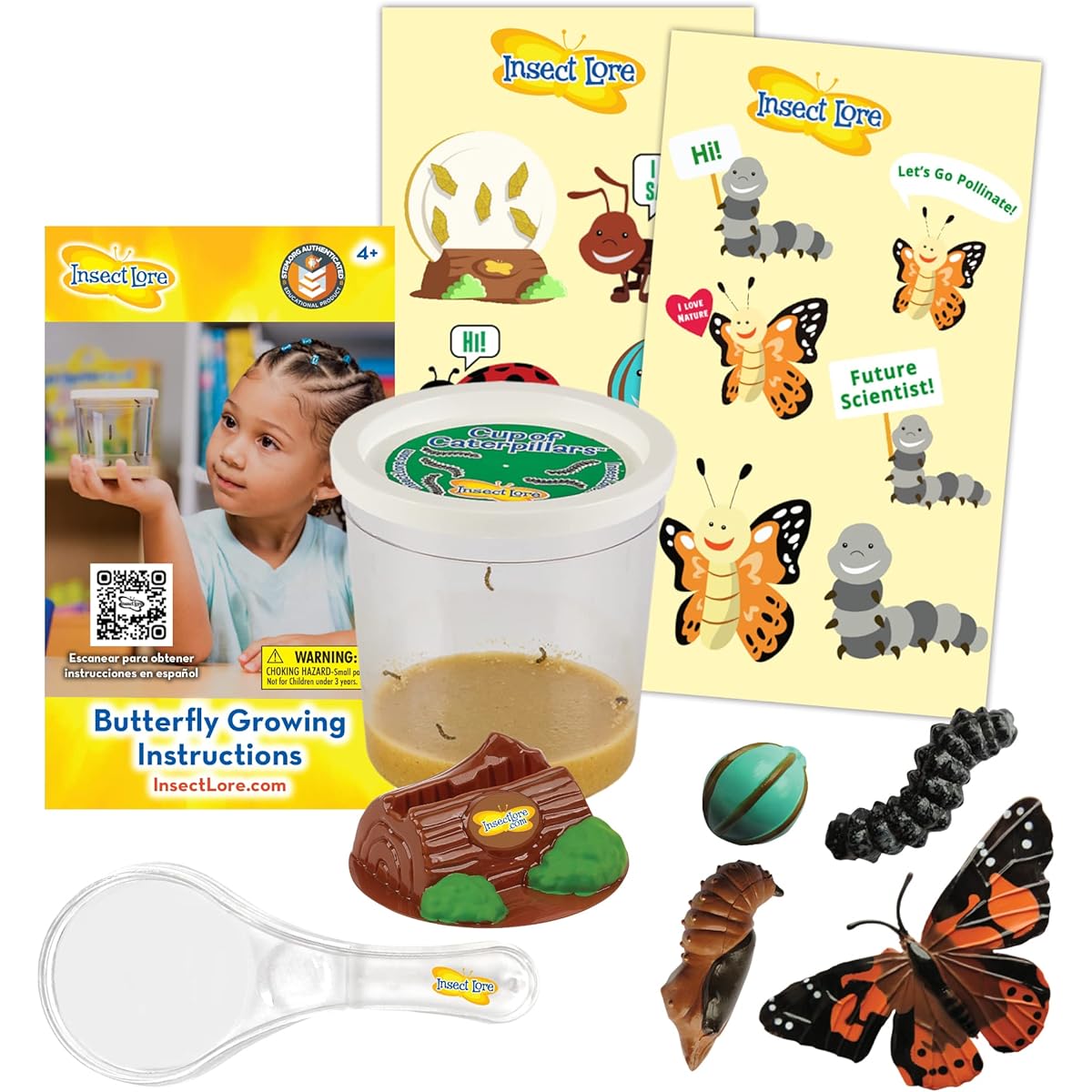 Insect Lore Caterpillar Cup with Dual Lens Magnifier and Butterfly Life Cycle Stages