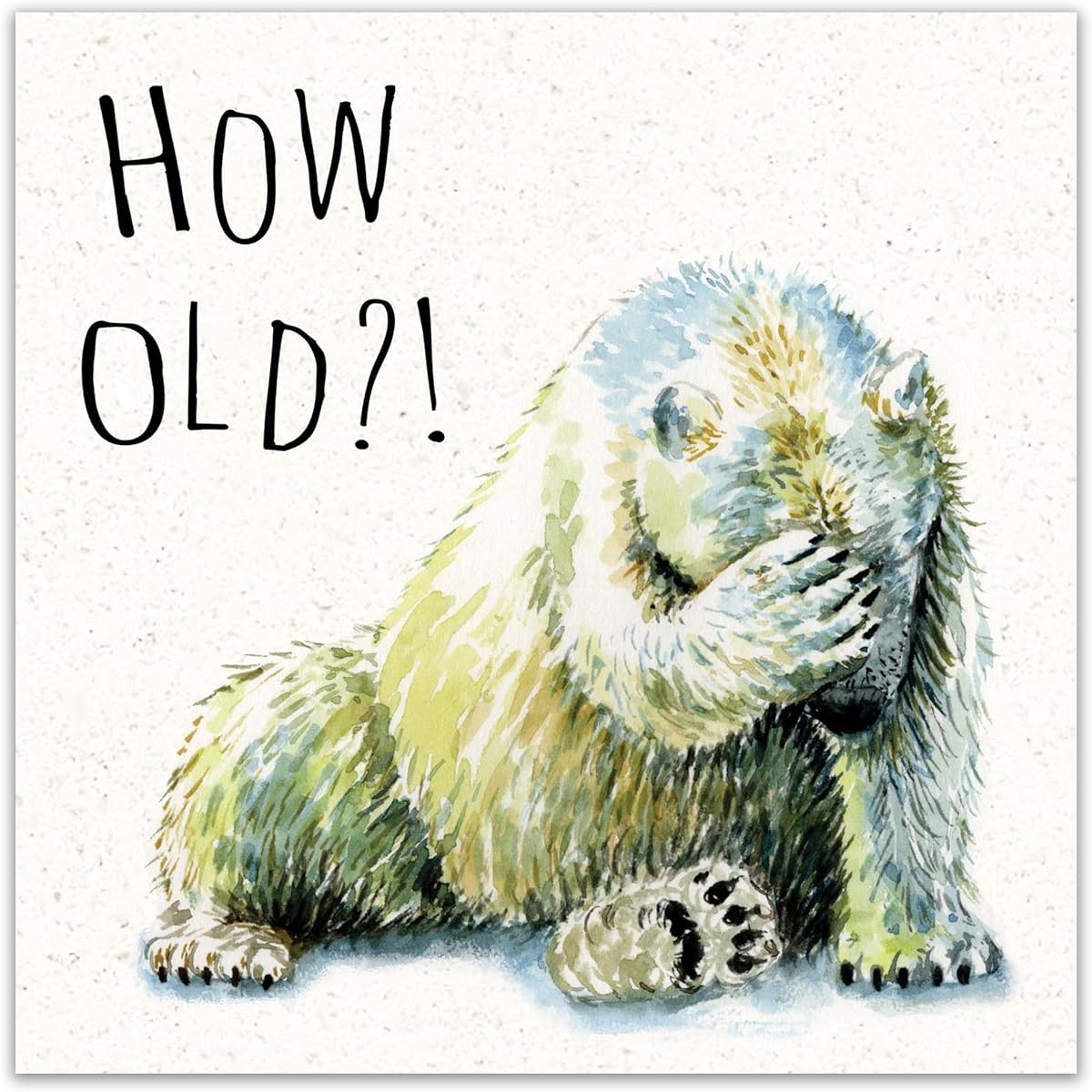 Twizler Funny Birthday Cards Polar Bear - Funny Cards Birthday - Happy Birthday Cards - Funny Birthday Cards Men - Funny Birthday Cards Women - Funny Birthday Cards - Funny Birthday Cards for Her