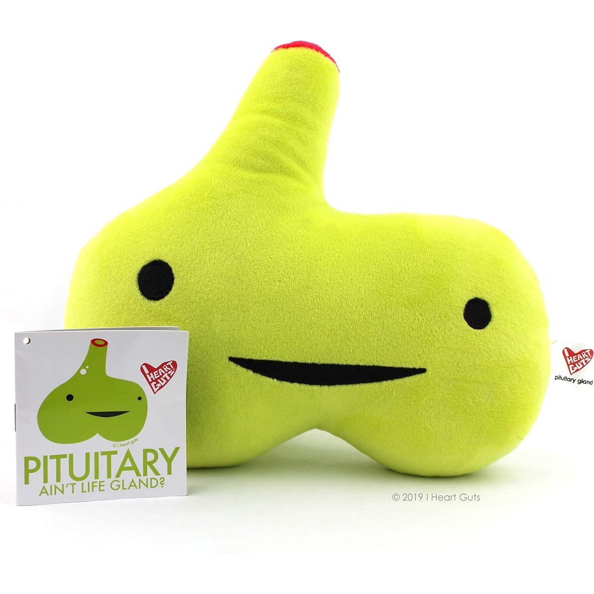 Pituitary Gland Plush Ain't Life Gland I Heart Guts by I Heart Guts
