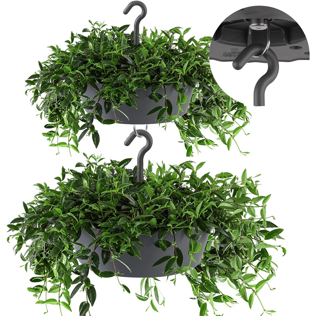 Sunny Plant & Christmas Tree Stand (Round, Medium, 2 Pack, Anthracite)
