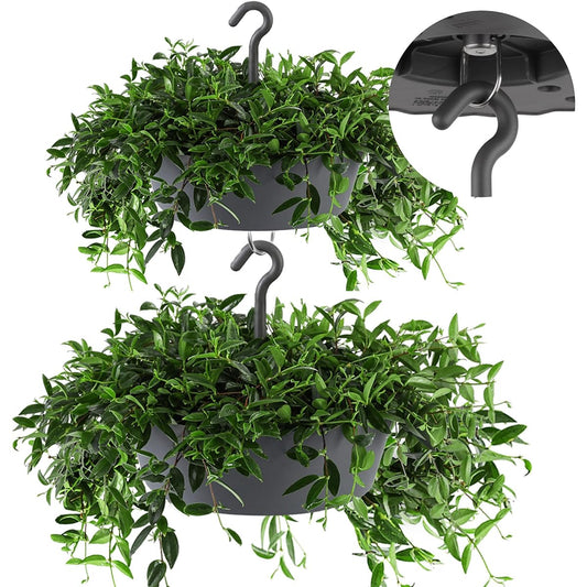 Sunny Plant & Christmas Tree Stand (Round, Medium, 2 Pack, Anthracite)
