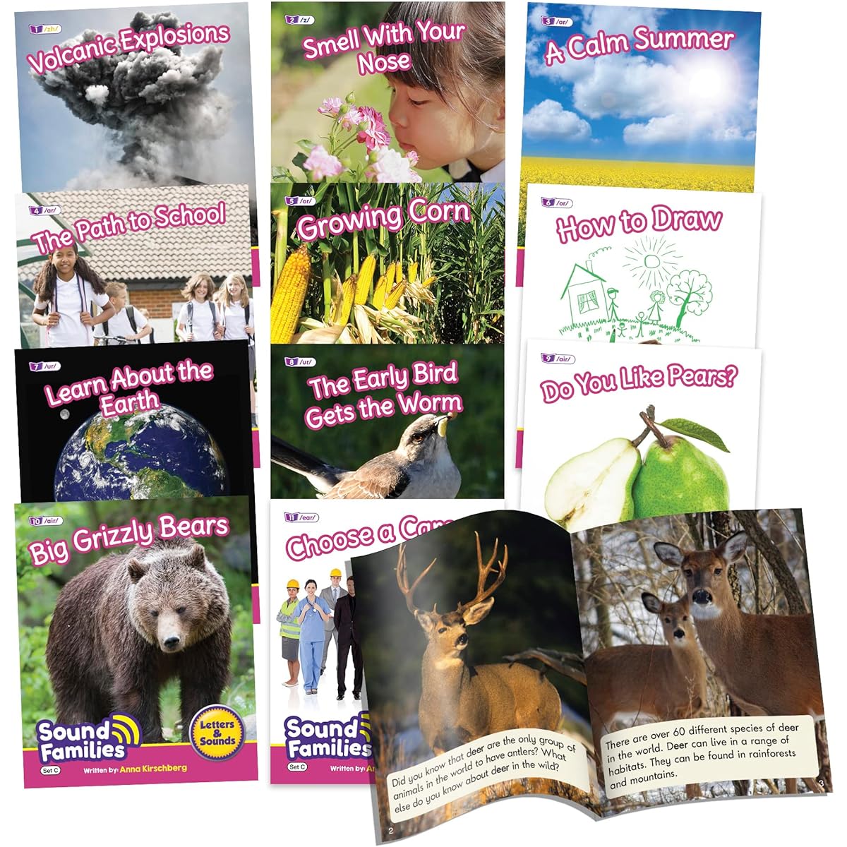 Junior Learning Decodable Readers Sound Family R Control Non-Fiction Phase 5.5 Vowel Sounds Learn to Read Easy to Decode Text with 12 Books Ages 5+ Grade K