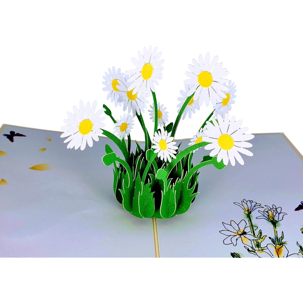 iGifts And Cards Cute White Daisy Pop-up Greeting Card – Cheerful Happiness Uplifting Elegant Don't Miss Mother's Day Get Well, Thinking of You