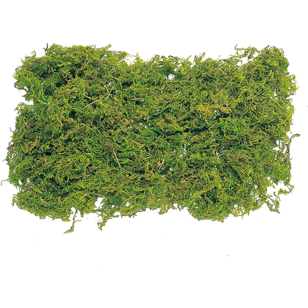 Daichi Farm Natural Materials Mountain Moss/Large Bag (1kg) Green DO61171-700