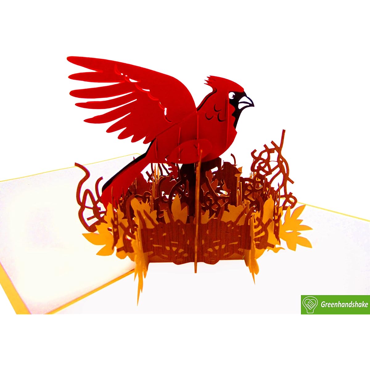 Cardinal Pop Up Cards 3D Pop Up Greeting Cards for Birthday, Valentine's, Mother's Day, Spring, Father's Day, Graduation, Wedding, Anniversary, Thank You, Great Deal, Any Occasion, 6" x 6"