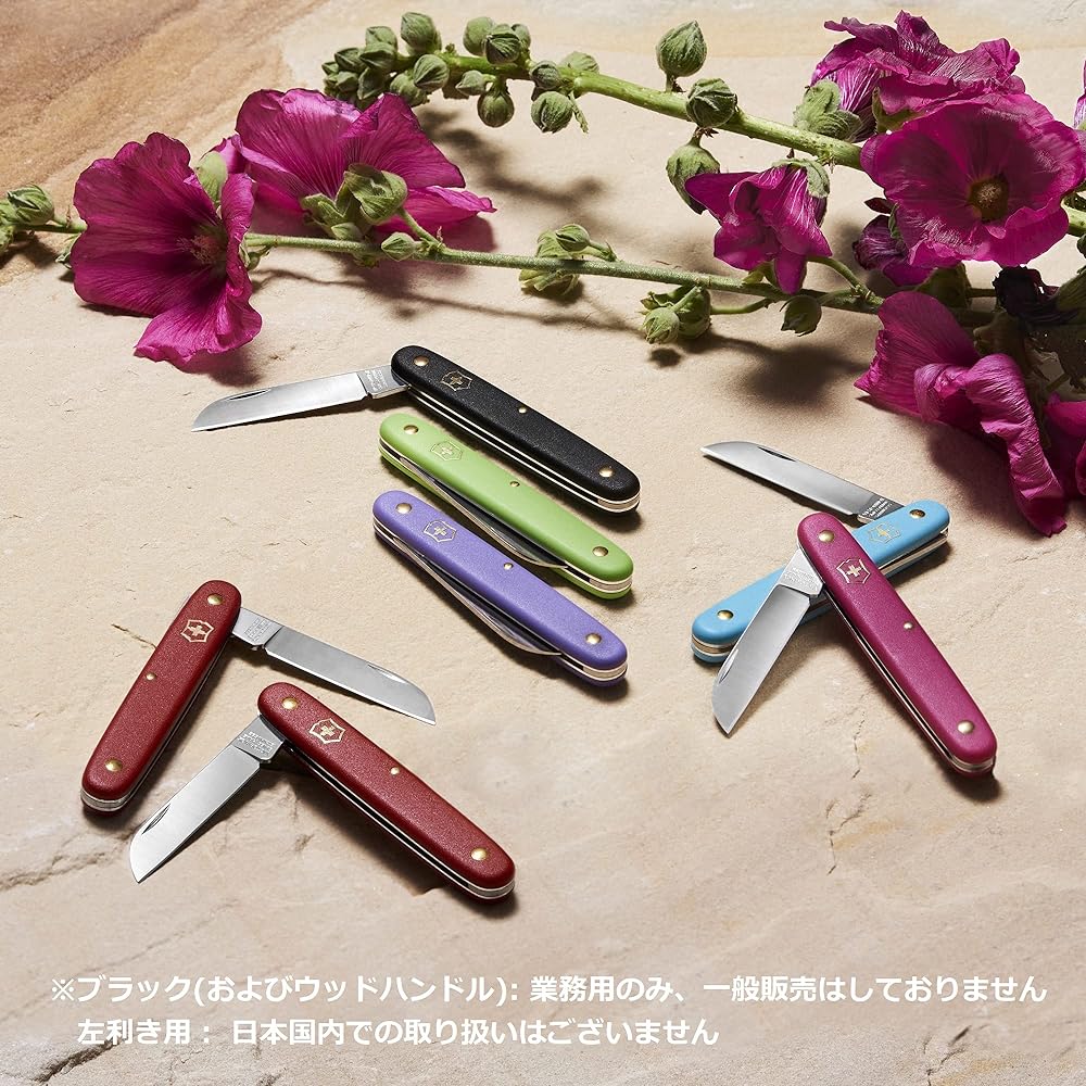 VICTORINOX Florist Knife, 5 Colors, Gardening Knife, Straight, Swiss Made Specialist Pocket Knife [Domestic Genuine Product]