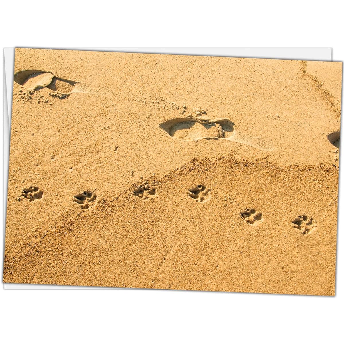 Glory To Dog They Walk Beside Us Every Day Pet Memorial/Sympathy Greeting Cards Boxed Set of 12 Cards and Envelopes