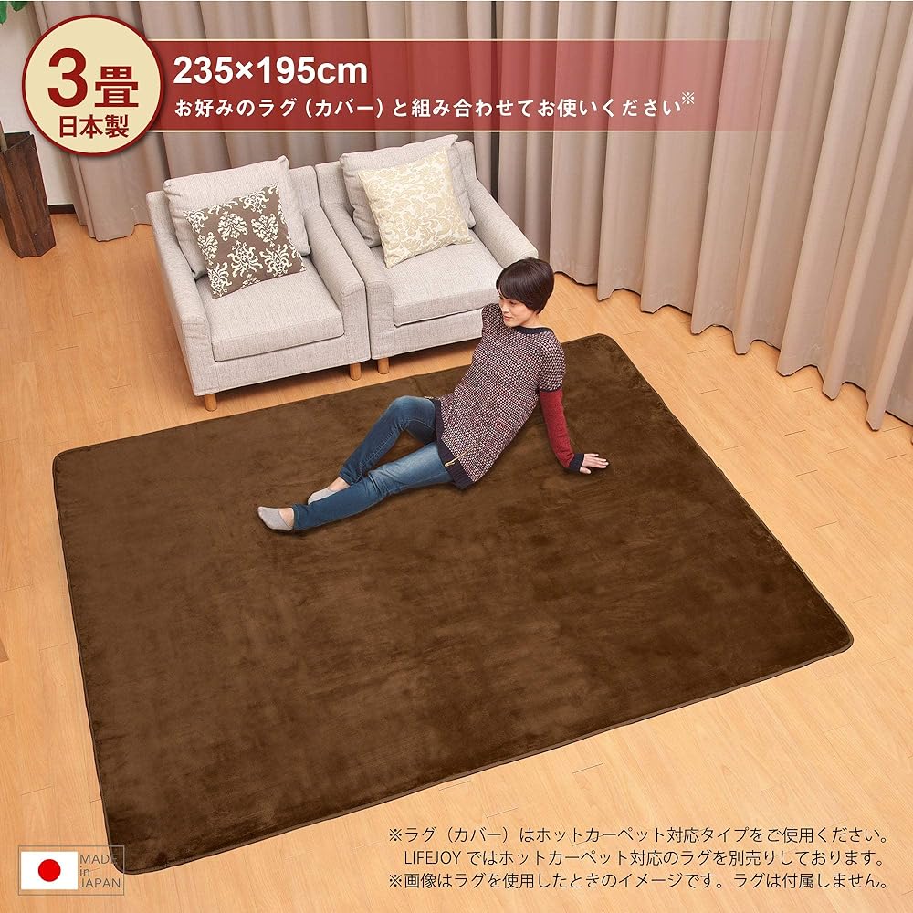 [Made in Japan] Lifejoy Hot Carpet 3 Tatami 235 x 195cm Compact Storage 8 Hour OFF Timer Gray JPU301H