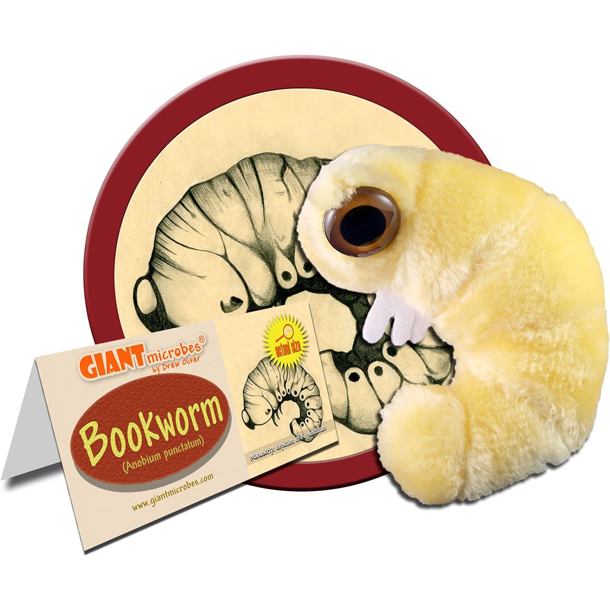 GIANTmicrobes Bookworm Plush Toy - Learn about science, microbes, books and worms with this great gift for friends, family, readers, librarians, scientists, book lovers, insect lovers and nature lovers.