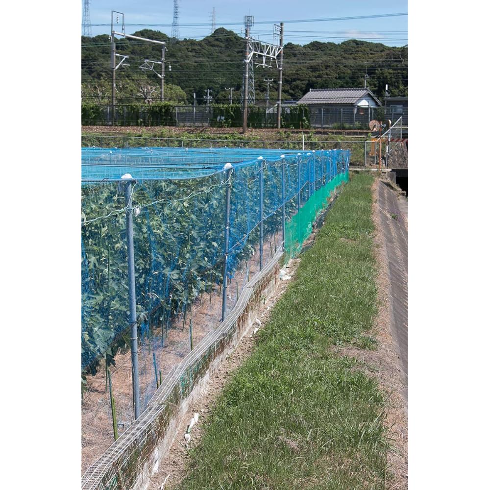 Daio Kasei Strong Bird Net 1000D 30mm eyes 150 tsubo 18x27m