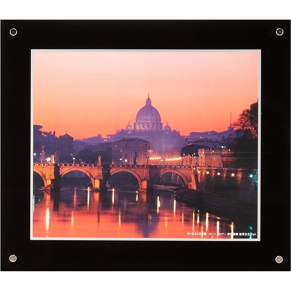 FUJICOLOR Picture Frame Pro Frame [Special Size Free L] Special Size Acrylic Black 40090
