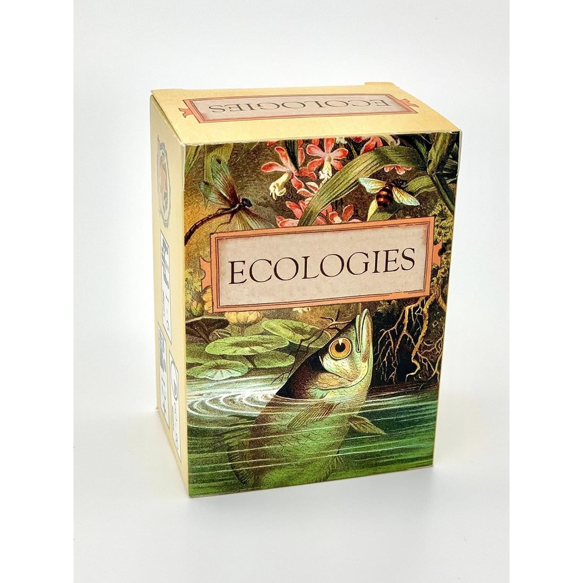 Ecologies Card Game - Use Science to Create Food Habitats in the 7 Biomes - Beautiful Vintage Nature Art for the Classroom or Game Night