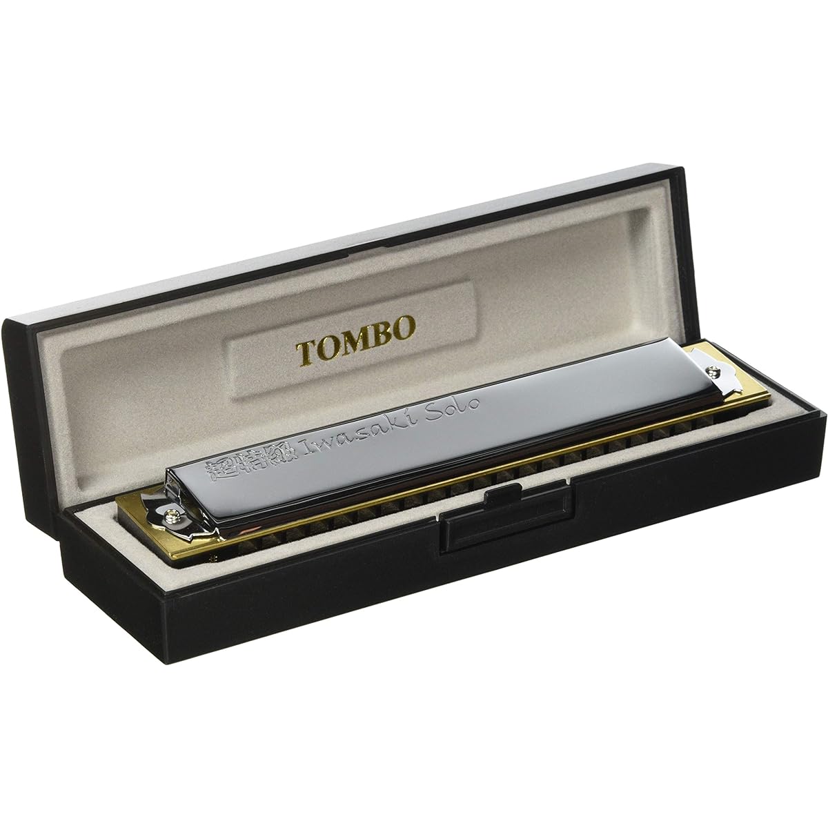 TOMBO Double note harmonica F key super special grade Iwasaki solo 21 holes 1921S