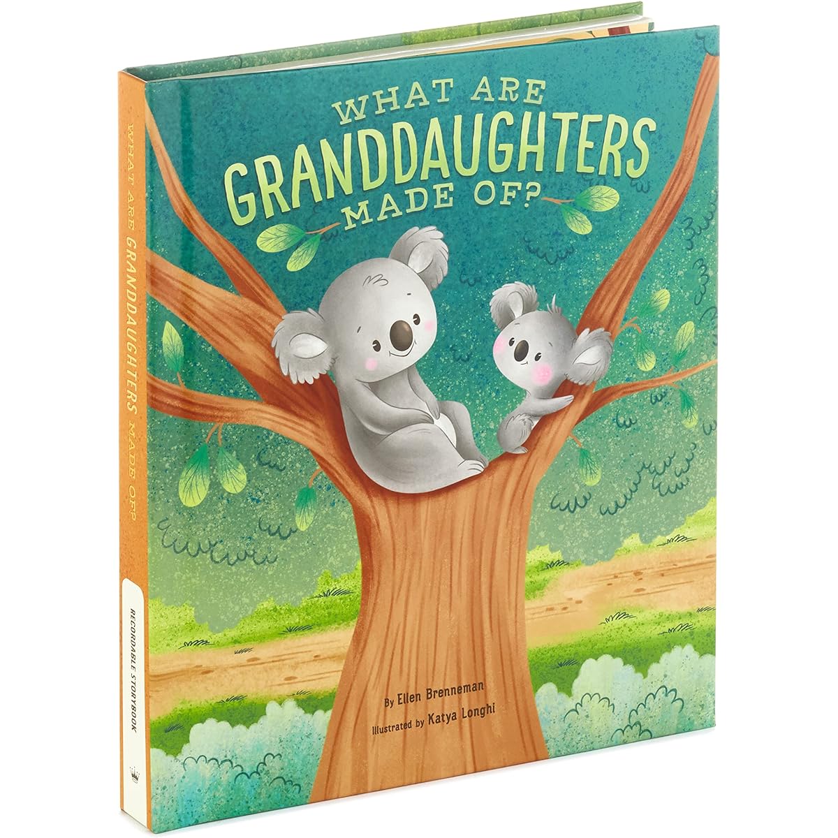 Hallmark Recordable Books for Children (What Are Granddaughters Made of?)