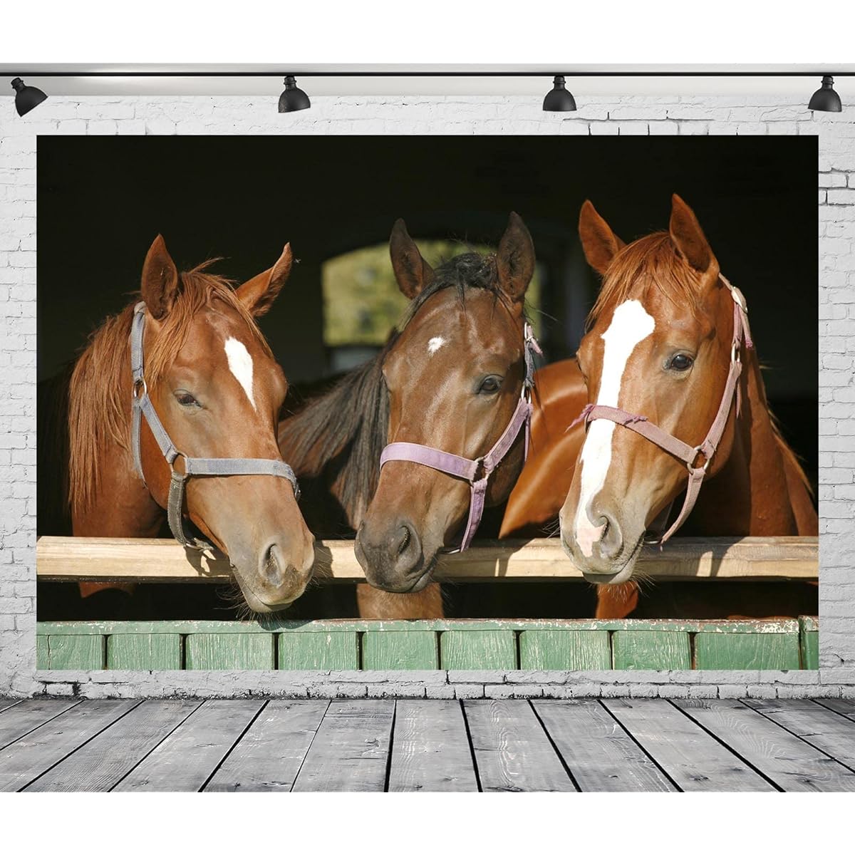 Loccor 15x8ft Horses in Paddock Backdrop Purebred Chestnut Racing Horses in Barn Photography Background Cowboy Birthday Party Decorations Derby Party Kids Adults Portrait Photo Booth Props